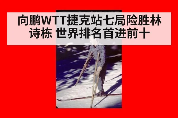 向鹏WTT捷克站七局险胜林诗栋 世界排名首进前十