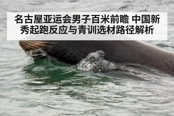 名古屋亚运会男子百米前瞻 中国新秀起跑反应与青训选材路径解析